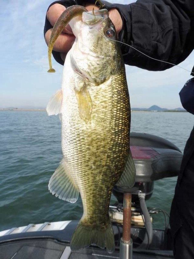 truth okuma ブログ写真 2016/04/16