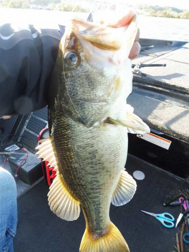 truth okuma ブログ写真 2016/04/17