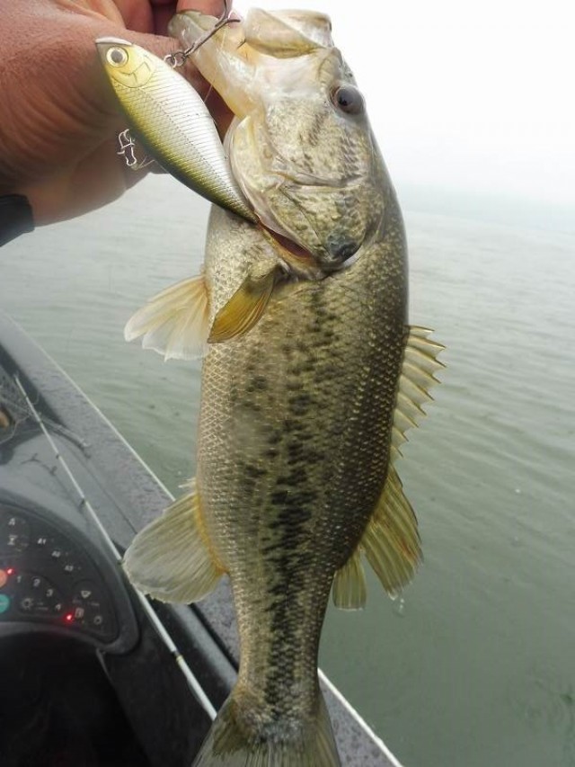 truth okuma ブログ写真 2016/04/17