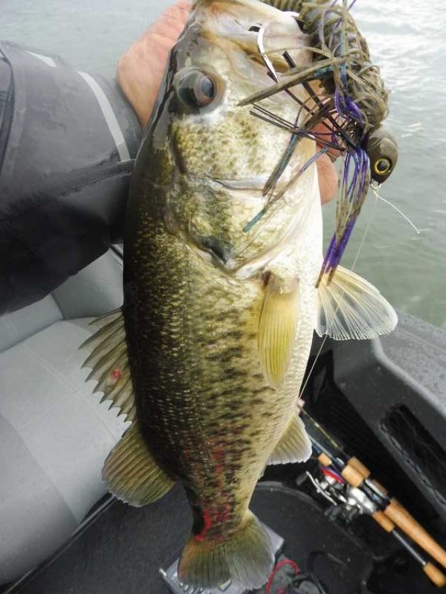 truth okuma ブログ写真 2016/04/17