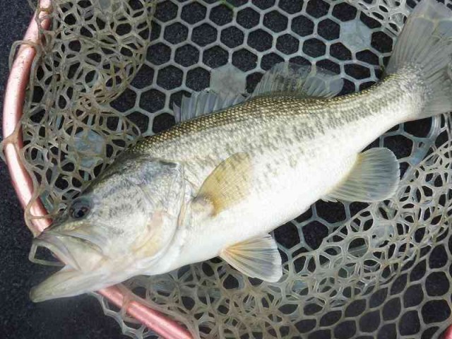 truth okuma ブログ写真 2016/04/21