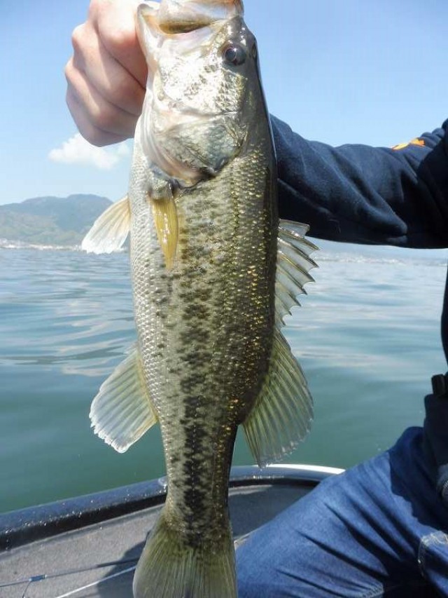 truth okuma ブログ写真 2016/04/23