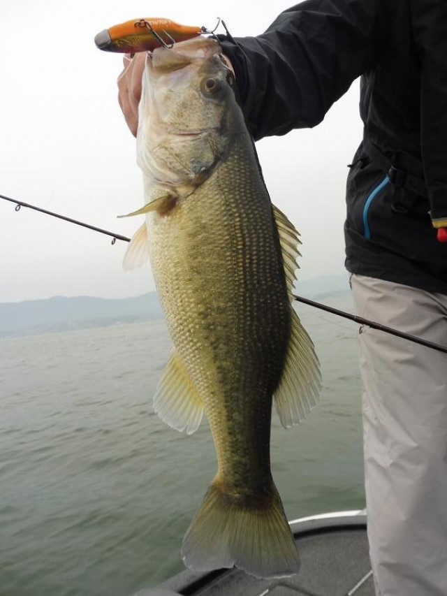 truth okuma ブログ写真 2016/04/23