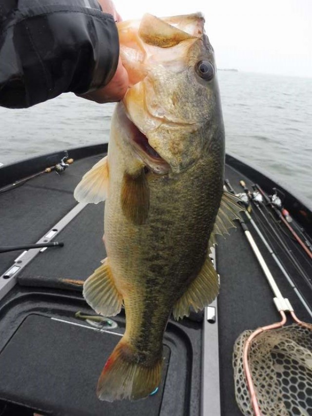 truth okuma ブログ写真 2016/04/27