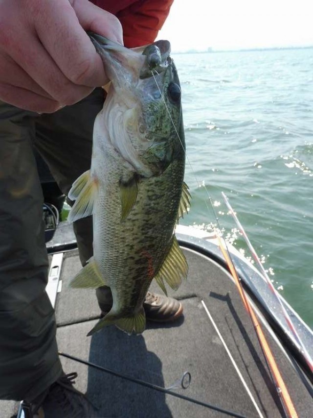 truth okuma ブログ写真 2016/05/01