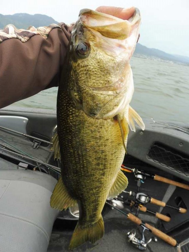 truth okuma ブログ写真 2016/05/03