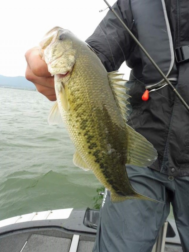 truth okuma ブログ写真 2016/05/03