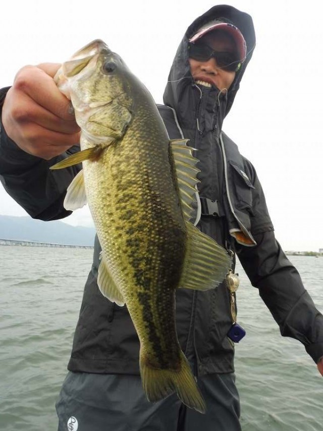 truth okuma ブログ写真 2016/05/03