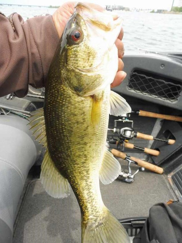 truth okuma ブログ写真 2016/05/03