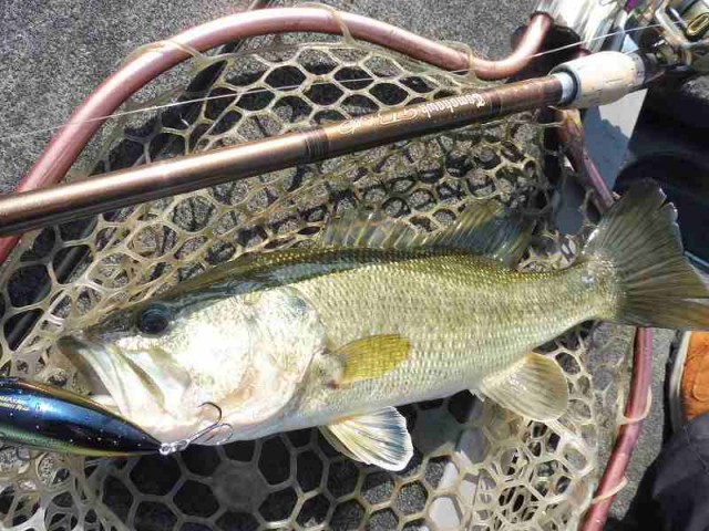 truth okuma ブログ写真 2016/05/04