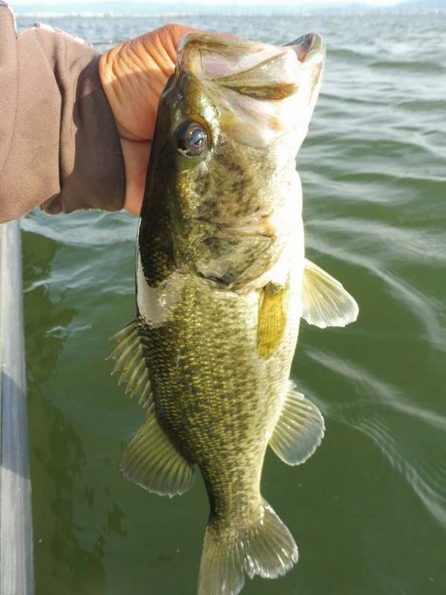 truth okuma ブログ写真 2016/05/05