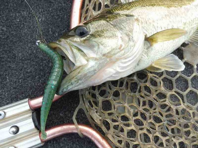 truth okuma ブログ写真 2016/05/05