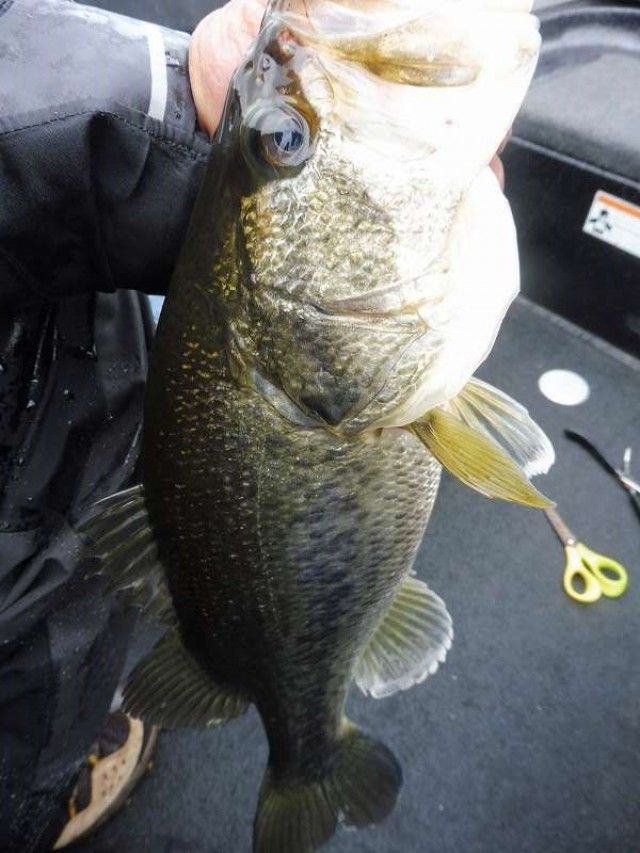 truth okuma ブログ写真 2016/05/06