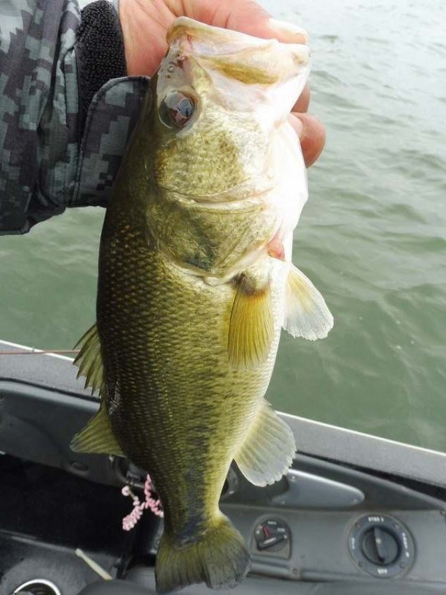 truth okuma ブログ写真 2016/05/06