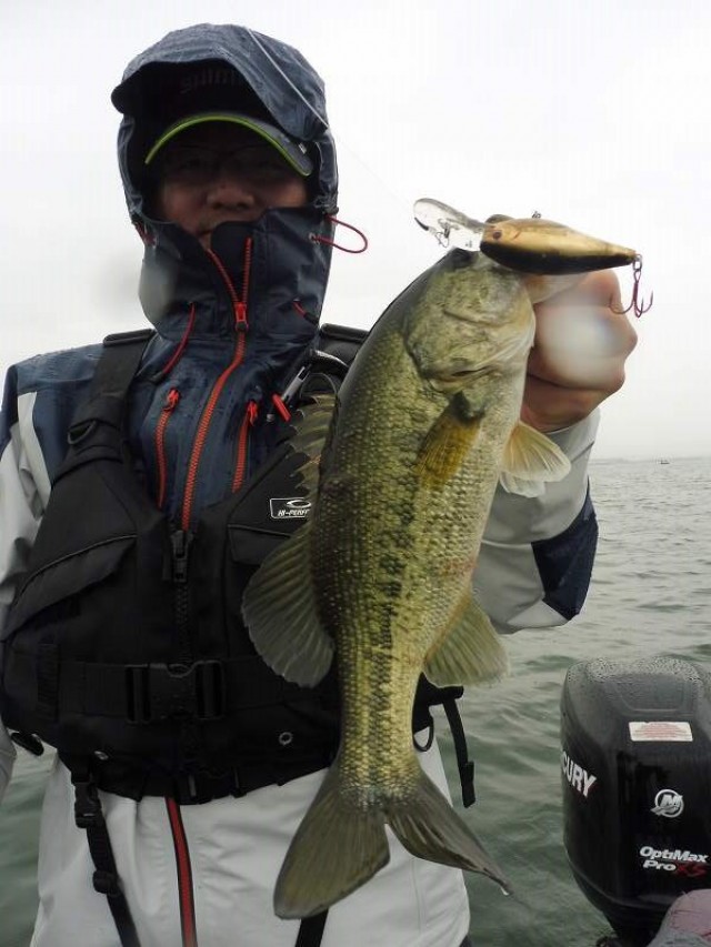 truth okuma ブログ写真 2016/05/06