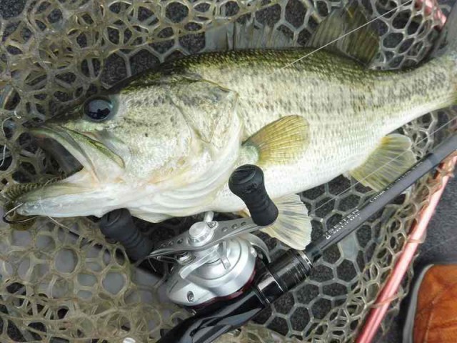 truth okuma ブログ写真 2016/05/06