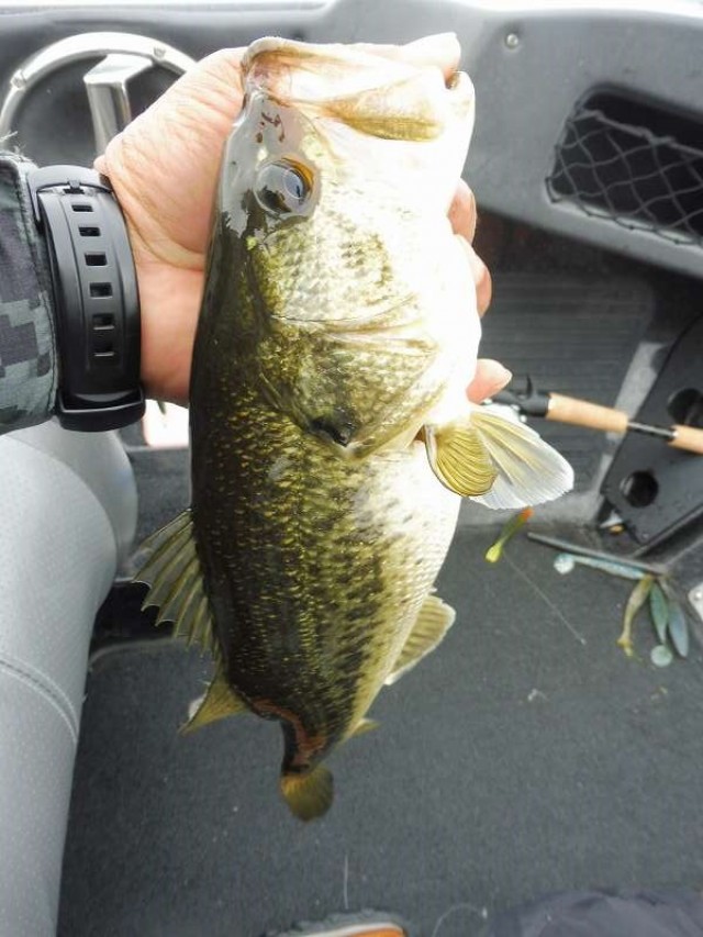 truth okuma ブログ写真 2016/05/07