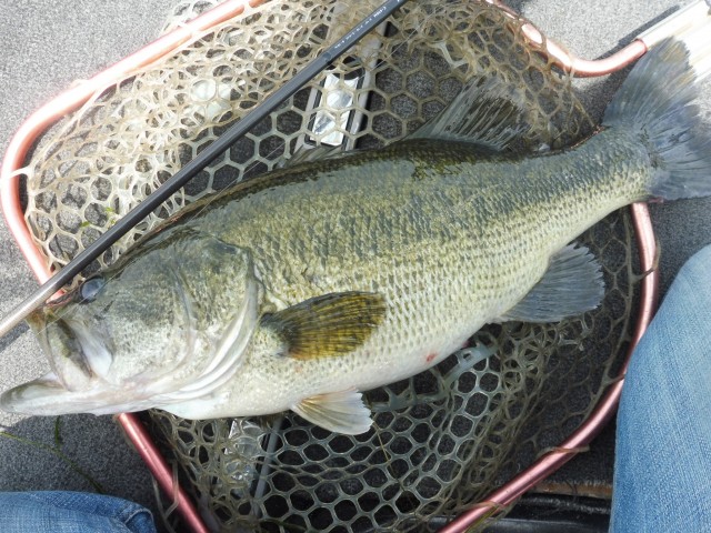 truth okuma ブログ写真 2016/05/08