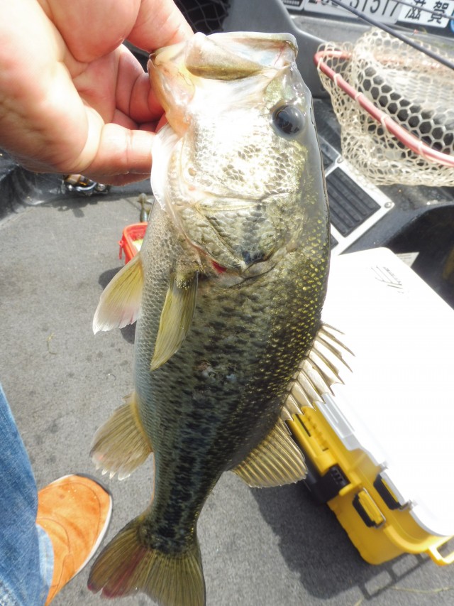 truth okuma ブログ写真 2016/05/08