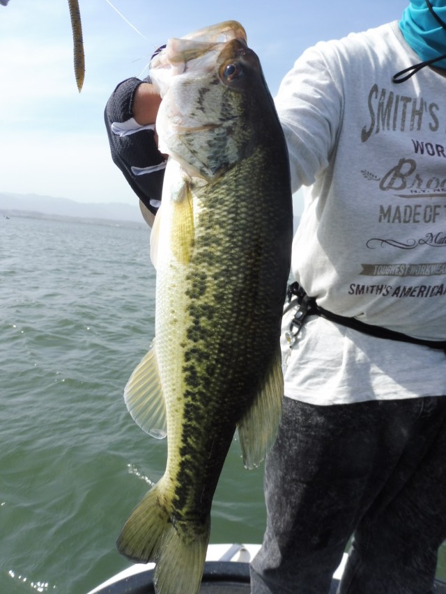 truth okuma ブログ写真 2016/05/08