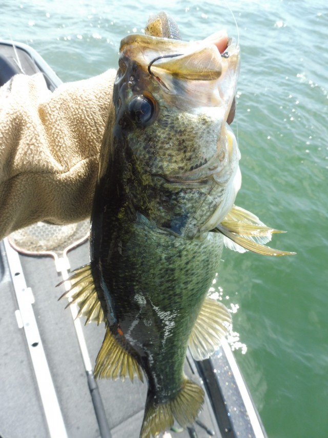 truth okuma ブログ写真 2016/05/08