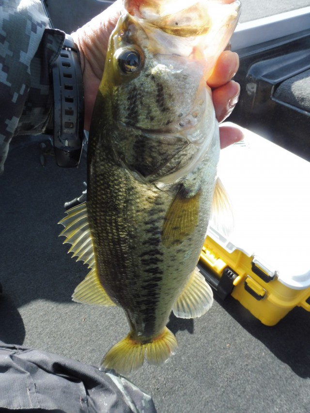 truth okuma ブログ写真 2016/05/08