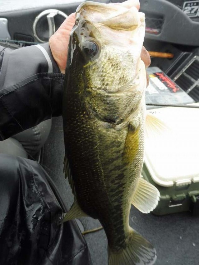 truth okuma ブログ写真 2016/05/09