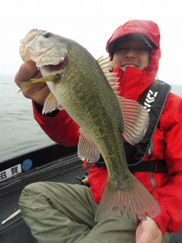 truth okuma ブログ写真 2016/05/09