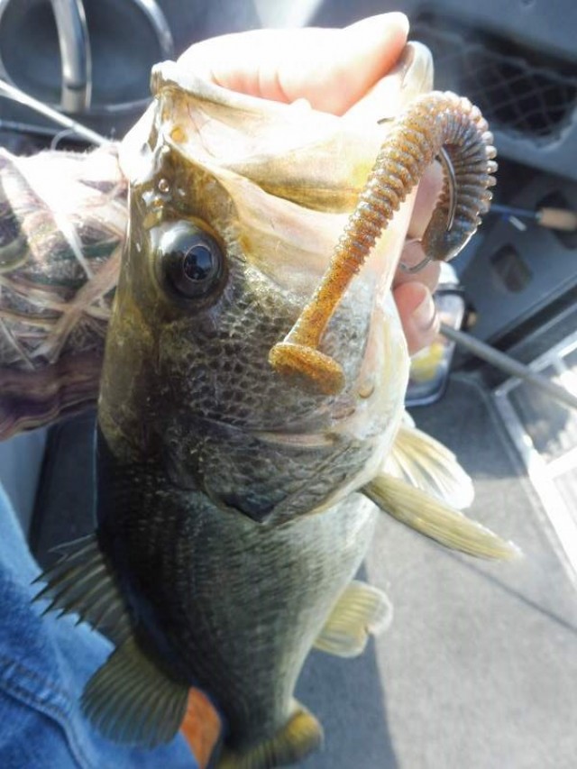 truth okuma ブログ写真 2016/05/14