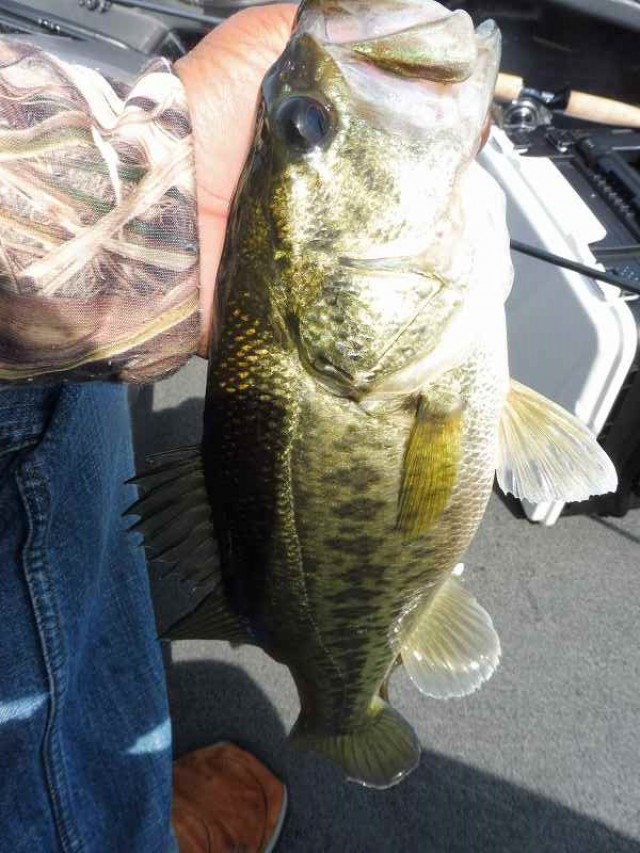 truth okuma ブログ写真 2016/05/14