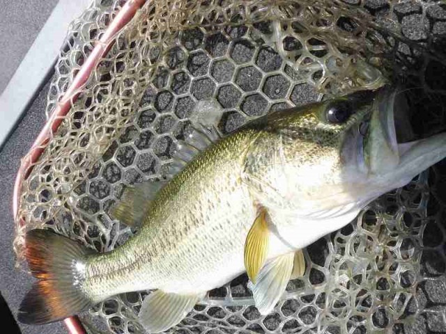 truth okuma ブログ写真 2016/05/14