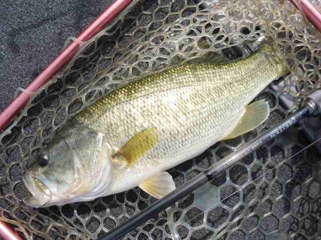 truth okuma ブログ写真 2016/05/15