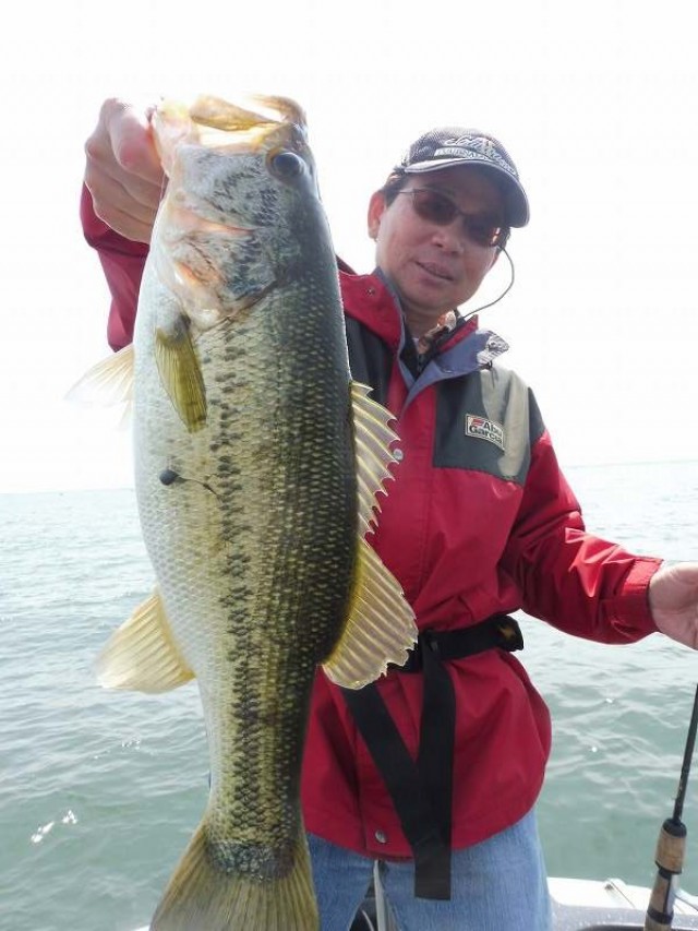 truth okuma ブログ写真 2016/05/15