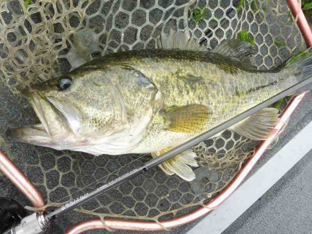 truth okuma ブログ写真 2016/05/16