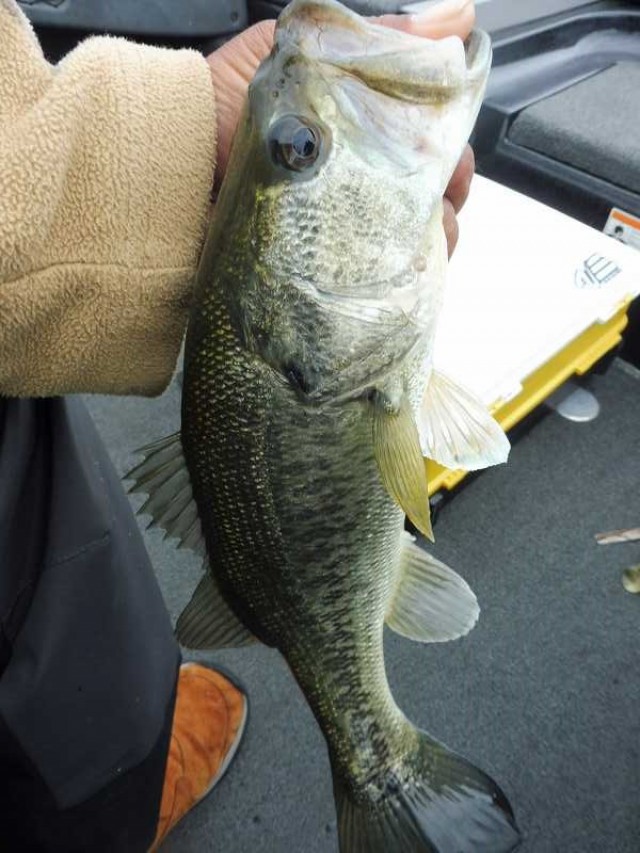 truth okuma ブログ写真 2016/05/16