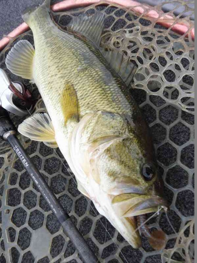 truth okuma ブログ写真 2016/05/16