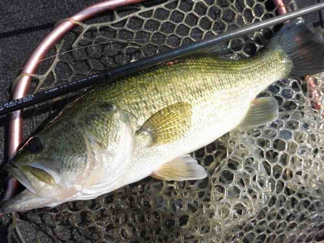 truth okuma ブログ写真 2016/05/22