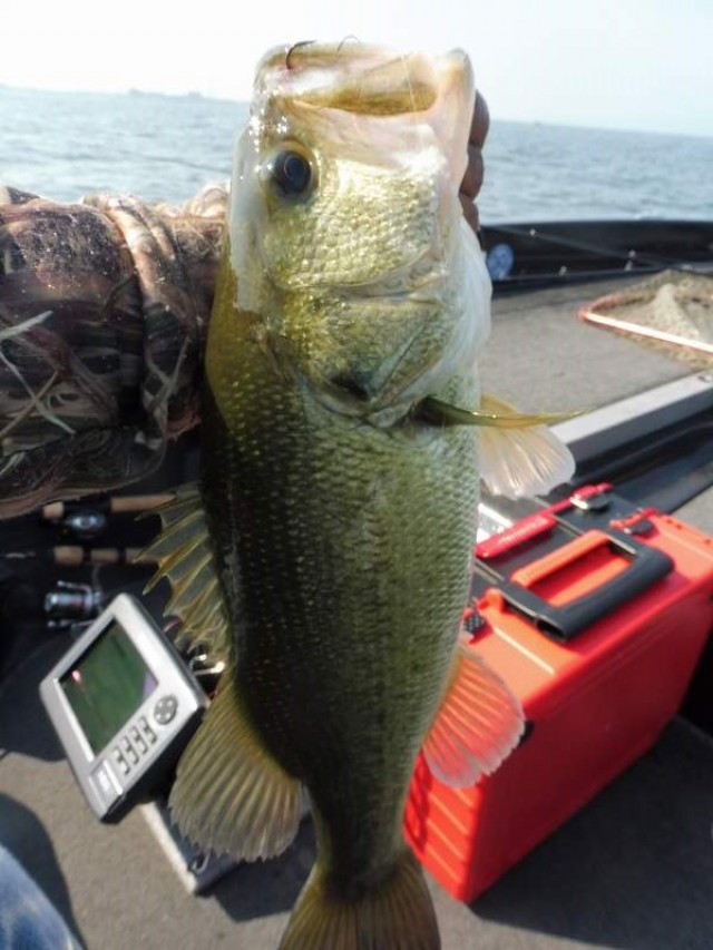 truth okuma ブログ写真 2016/05/22