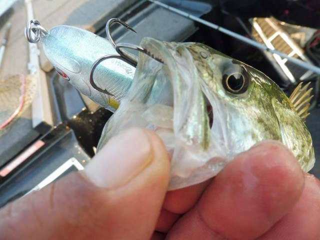 truth okuma ブログ写真 2016/05/22