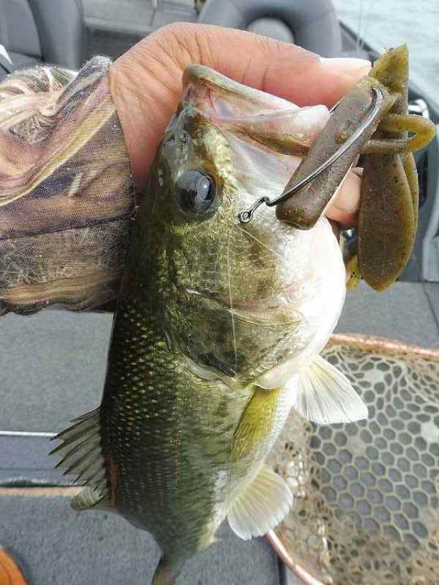 truth okuma ブログ写真 2016/05/25