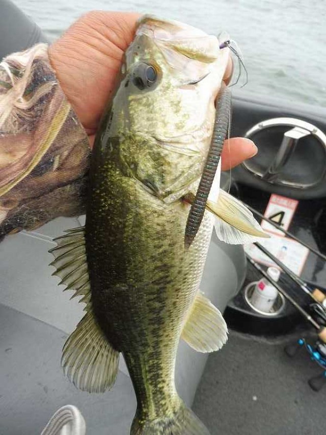 truth okuma ブログ写真 2016/05/25