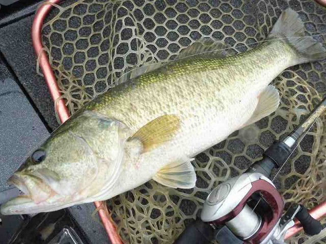 truth okuma ブログ写真 2016/05/25