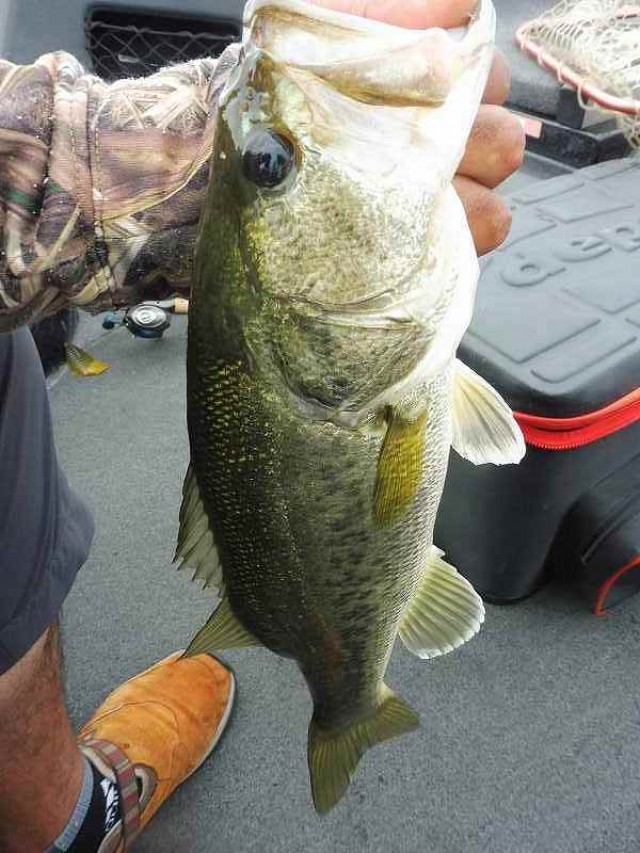 truth okuma ブログ写真 2016/05/25