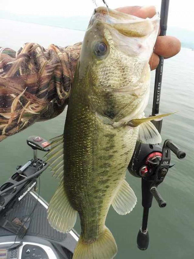 truth okuma ブログ写真 2016/05/25