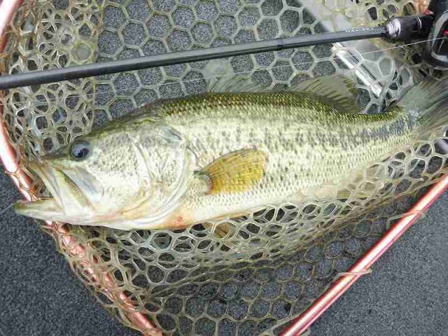 truth okuma ブログ写真 2016/05/25