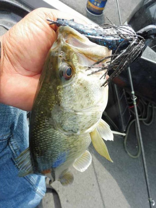 truth okuma ブログ写真 2016/05/27