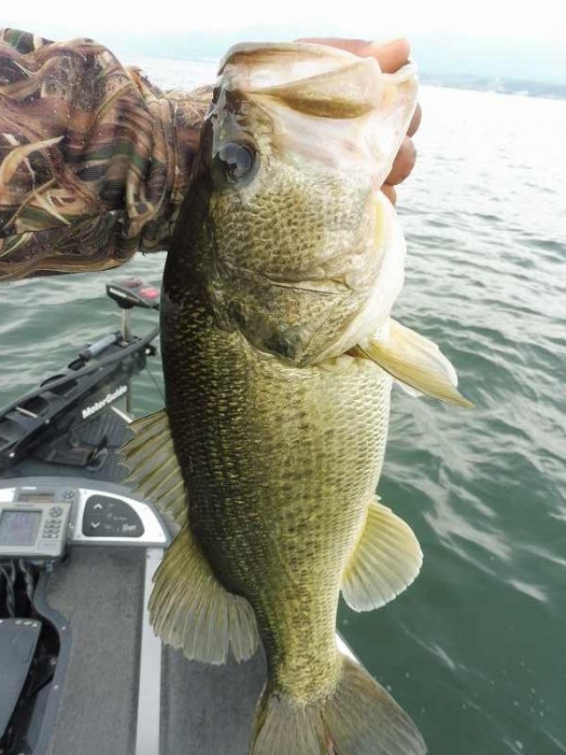 truth okuma ブログ写真 2016/05/27