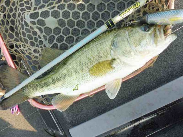 truth okuma ブログ写真 2016/05/27