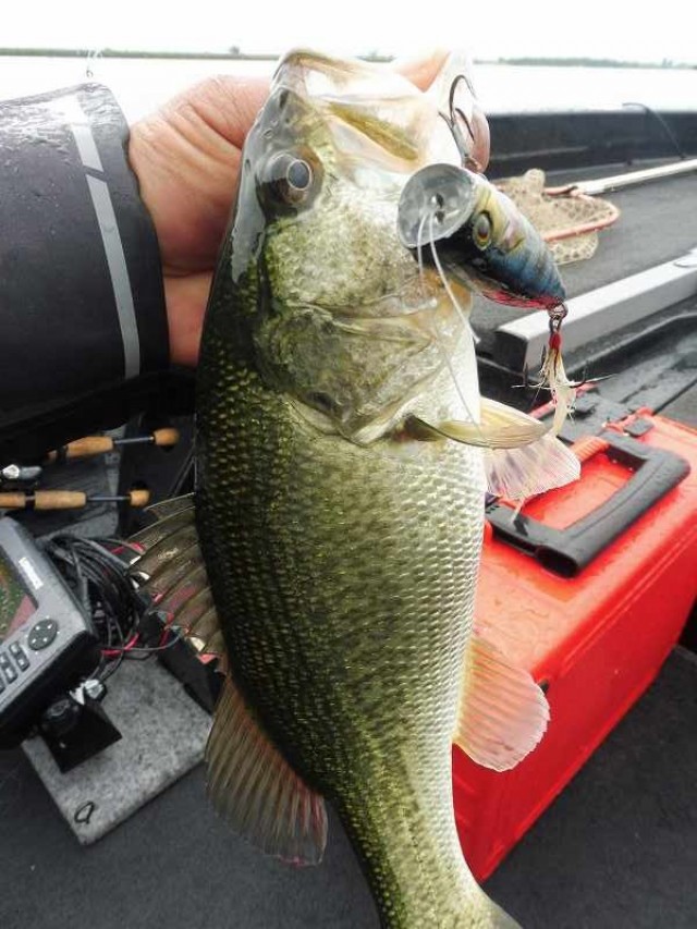 truth okuma ブログ写真 2016/06/05