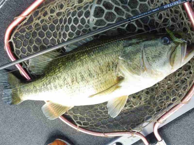 truth okuma ブログ写真 2016/06/05